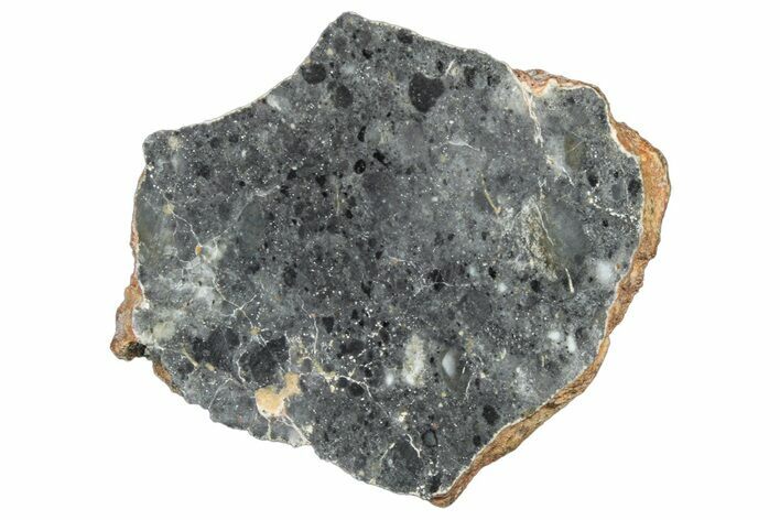 Polished Lunar Meteorite Slice ( g) - NWA #304037